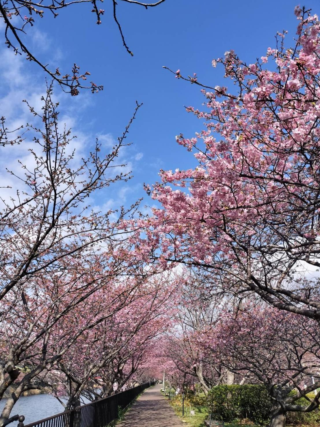 传统日式旅馆 Kaiyutei
